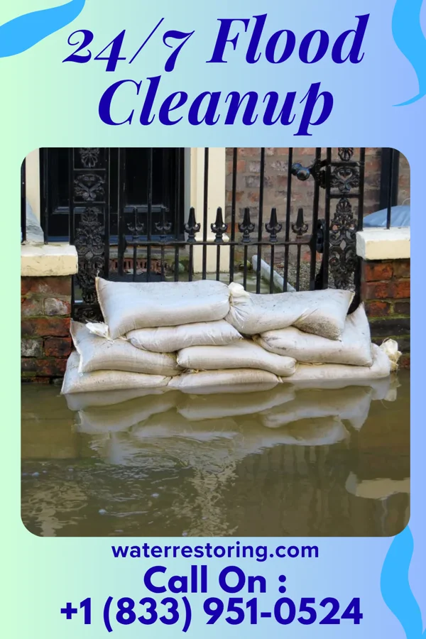 24/7 Flood Cleanup in Perdido Beach, AL