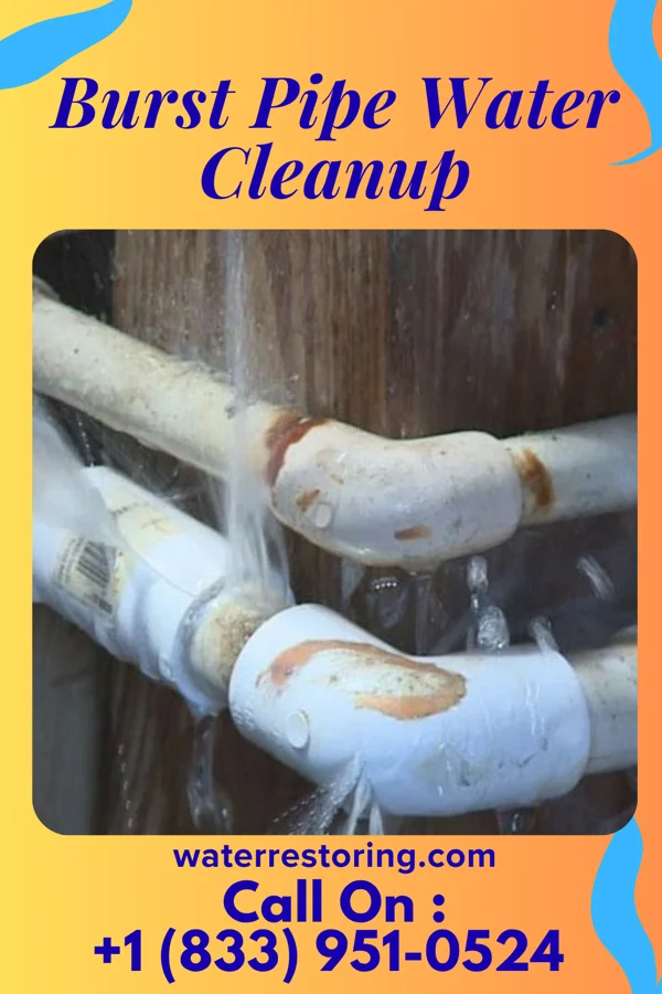 Burst Pipe Water Cleanup in Perdido Beach, AL