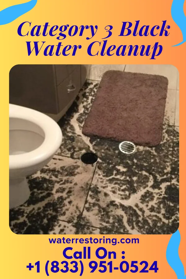 Category 3 Black Water Cleanup in Perdido Beach, AL