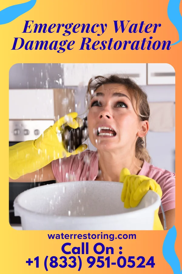 Emergency Water Damage Restoration in Perdido Beach, AL